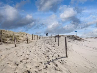 Fototapete Strandslag de Putten in de Schoorlse & Hondsbossche duinen © Holland-PhotostockNL