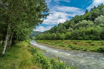 Fototapeta na wymiar Rzeka Ropa w Beskidzie Niskim