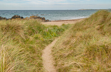 The coastal path from Crigyll Bay to Aberffraw Bay on the island of Angelsey, North Wales, UK August 2005