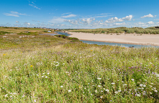 The coastal path from Crigyll Bay to Aberffraw Bay on the island of Angelsey, North Wales, UK August 2005