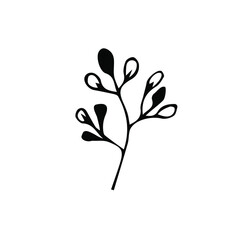 Cute hand drawn set of graphic floral and herbal elements. Doodle vector illustration isolated on white background for wedding design, logo and greeting card.