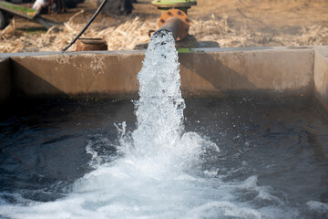 Turbine Pump, Field Irrigation system in Pakpattan District, Punjab, Pakistan