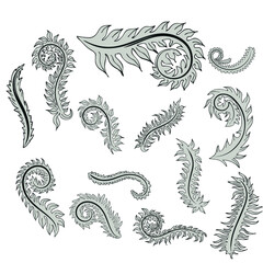 Vintage baroque frame scroll ornament engraving border floral retro pattern antique style acanthus foliage swirl decorative design element filigree calligraphy vector