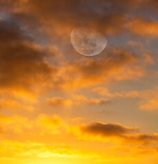 Moon Sky Orange Sunset Scenic Vertical