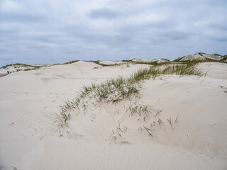 Sand dune landscape called Ladder to heaven on the island of Amrum, Germany.