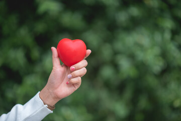 an adult holding a red heart health care Family donation and insurance concept World Heart Day World Health Day Responsibility CSR Foster family Adoption Hope Gratitude Type Concept