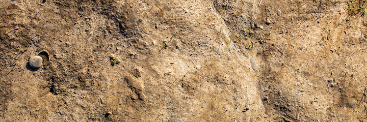 texture of the soil