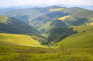 Fototapeta premium Beautiful summer nature landscape with trees on green rolling hillsides. Carpathian Mountains, Ukraine