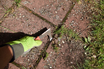 Holding a grout scraper or weed scraper for removing moss and weeds in tile joints. July,...