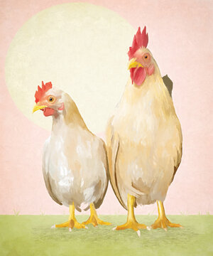 Painterly illustration of two white chickens posing together. 