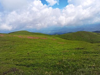 Obraz premium Summer landscape in the mountains. Beautiful day for hiking