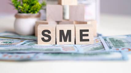 sme concept with wooden blocks and banknote, symbols, signs, business office