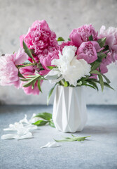 Fresh Peony flowers in vase. bouquet close up. Stylish floral greeting card. Pink peony flower close-up with selective focus.