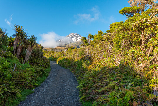 View of Mount Taranaki on a sunny summer day, New Zealand