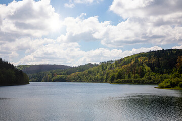 Fototapeta premium lake in the forest
