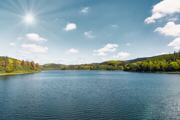 spring landscape with lake and trees