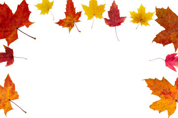 Open frame made of autumn leaves of different colors and different types on a white background.
