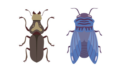 Bug Species Set, Top View of Cricket and Fly Insects Cartoon Vector Illustration