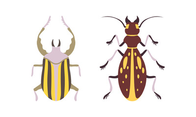 Bug Species Set, Top View of Bugs Cartoon Vector Illustration