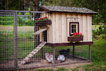Beautiful wooden chicken coop house on the farm. Henhouse.