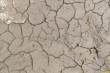 Cracks on dry ground