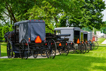 Amish Horses and Buggies