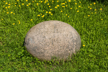 A large oval stone on a background of green grass and yellow dandelions.