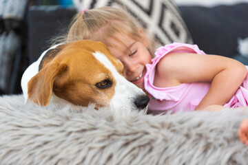 Child cuddle a dog on backyard sofa. Happy childhood with beagle pet.