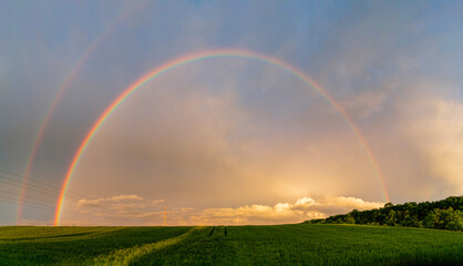 Rainbow with wheat land after the rain at sunset