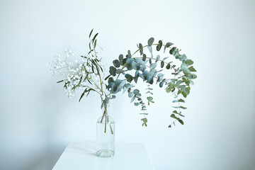 Eucalyptus branch with leaves in glass bottle on white wall background