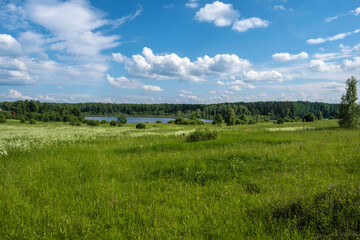 Beautiful summer landscape with a field and a river and a beautiful cloudy sky.