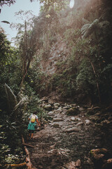 Obraz premium person in the forest