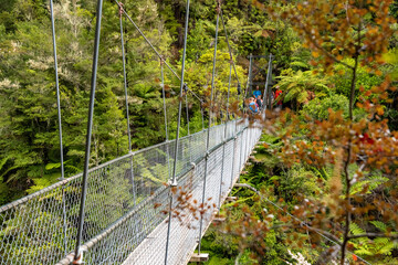 Warning signs about a suspension footbridge in Abel Tasman Cost Track