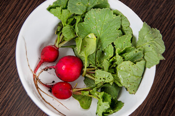 Fresh and ripe red radish with green leaves in a plate. Diet food. Spring homemade radish salad.