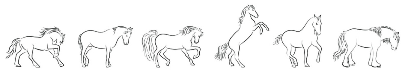 Pferde Konturen Zeichnungen Drawings Horses Vektor Grafik Lineart - obrazy, fototapety, plakaty
