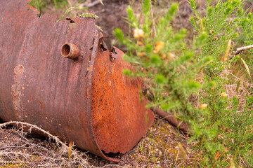 Old barrels rusting over decades in the grass of Waiuta ghost town, New Zealand