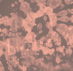 Dye Texture. Hippie Spiral Pattern. Pastel