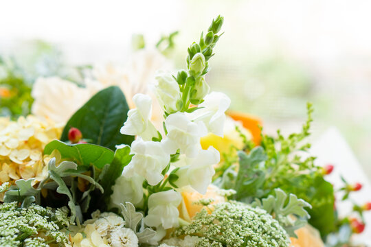 Beautiful floral background, assorted white and beige flowers, bouquer of roses and hydrangeas