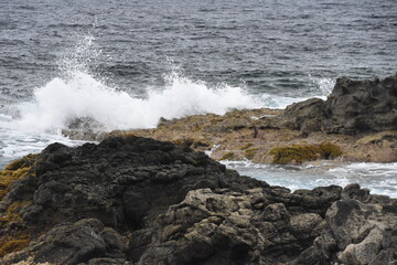 the waves showing their power