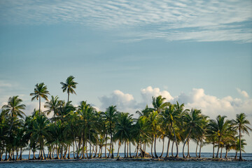 Fototapeta na wymiar Row of palm trees on the small island in the sea. Adventure, vacation and travel concept 