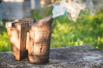 Stainless steel bee smoker old style is smoking on a stump next to a tree in the garden