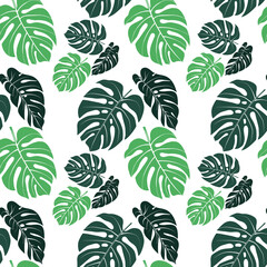 Fototapeta na wymiar Seamless pattern tropical monstera leaves vector illustration