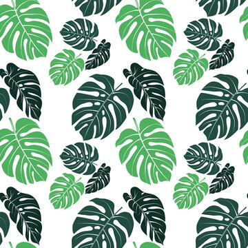 Seamless pattern tropical monstera leaves vector illustration