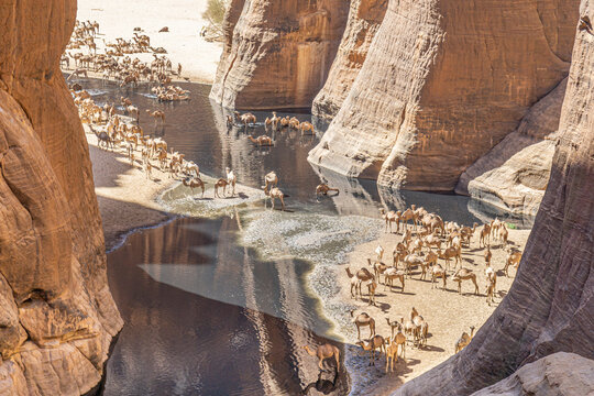 The Guelta d'Archei Gorge located in the Ennedi Plateau, Chad, Africa
