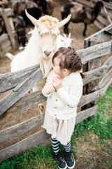 Little girl feeding goats on the farm. Agritourism concept. Life in the countryside