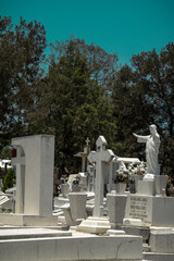 PANTEON MEXICANO DOLORES HIDALGO 01