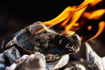 Charcoal that many people use for barbecues during the summer. Charcoal is a brown or black material that is produced by heating wood in an oxygen-poor environment