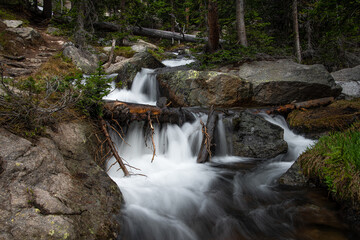 View of a waterfall in Rocky Mountain National Park on the Sky Pond trail in Colorado. Fallen logs, grass, water, and trees can be seen
