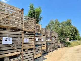 Storage boxes from pallets for fruits and vegetables.