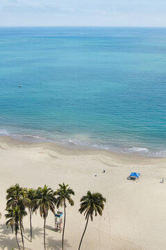 Aerial view of the beach, palm trees, lifeguard tower and a man setting up tents. Vertical photo.